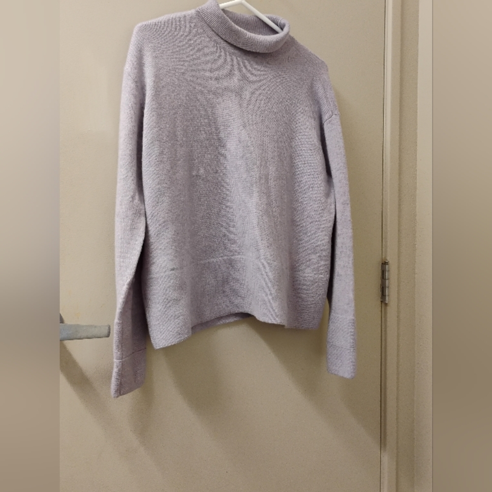Everlane Women's Purple Turtleneck Sweater Sz Small Cashmere